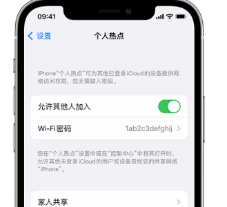 淮阴apple服务站点分享iPhone上个人热点丢失了怎么办 