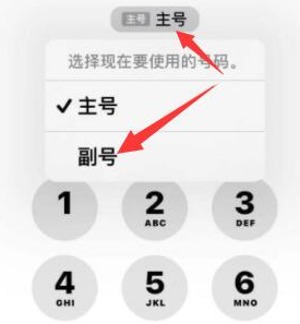 淮阴苹果14维修店分享iPhone 14 Pro Max使用副卡打电话的方法 