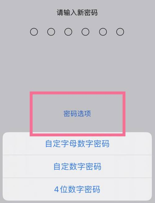 淮阴苹果14维修分享iPhone 14plus设置密码的方法 