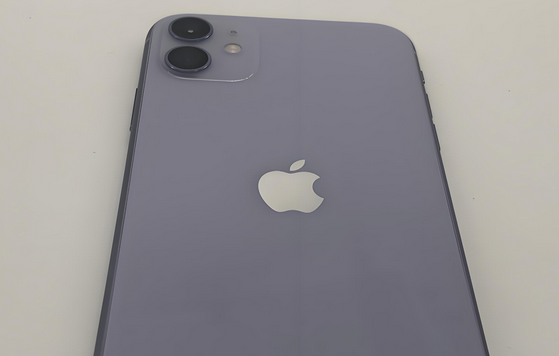 淮阴苹果11系统维修分享iPhone11手机系统崩溃无法开机如何解决 