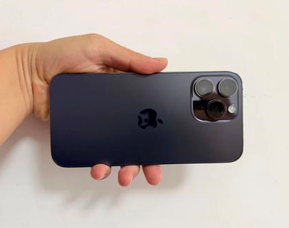 淮阴苹果维修点分享iPhone 14 Pro Max发烫多重诱因剖析 